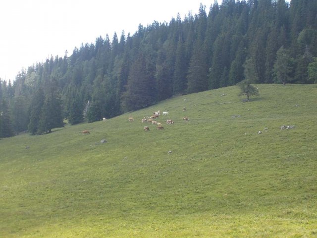 Mariazell 2013 132